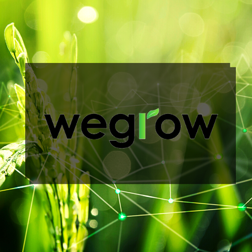 Wegrow